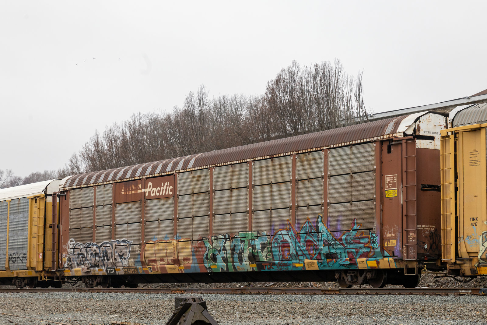 TTGX 254898