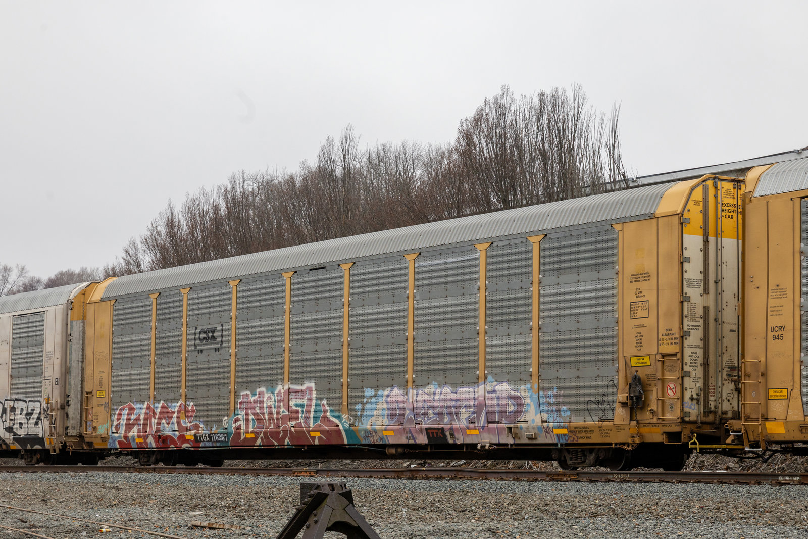 TTGX 716267