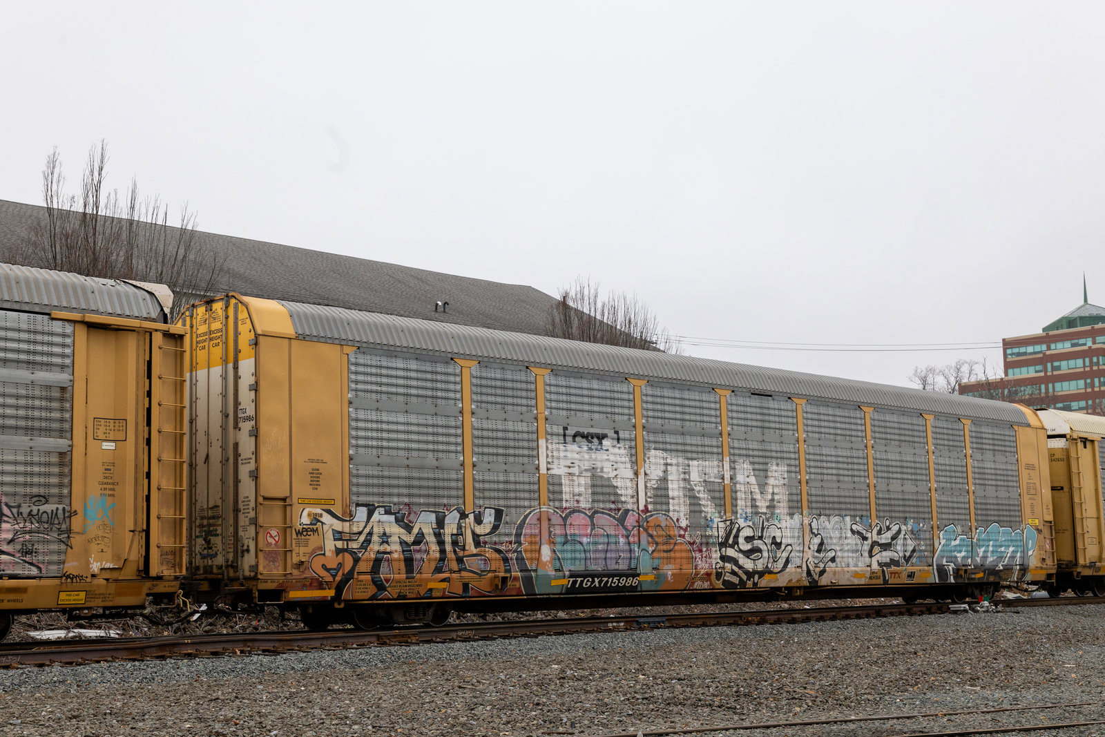 TTGX 715986