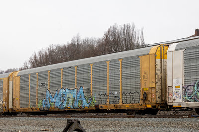 TTGX 716047