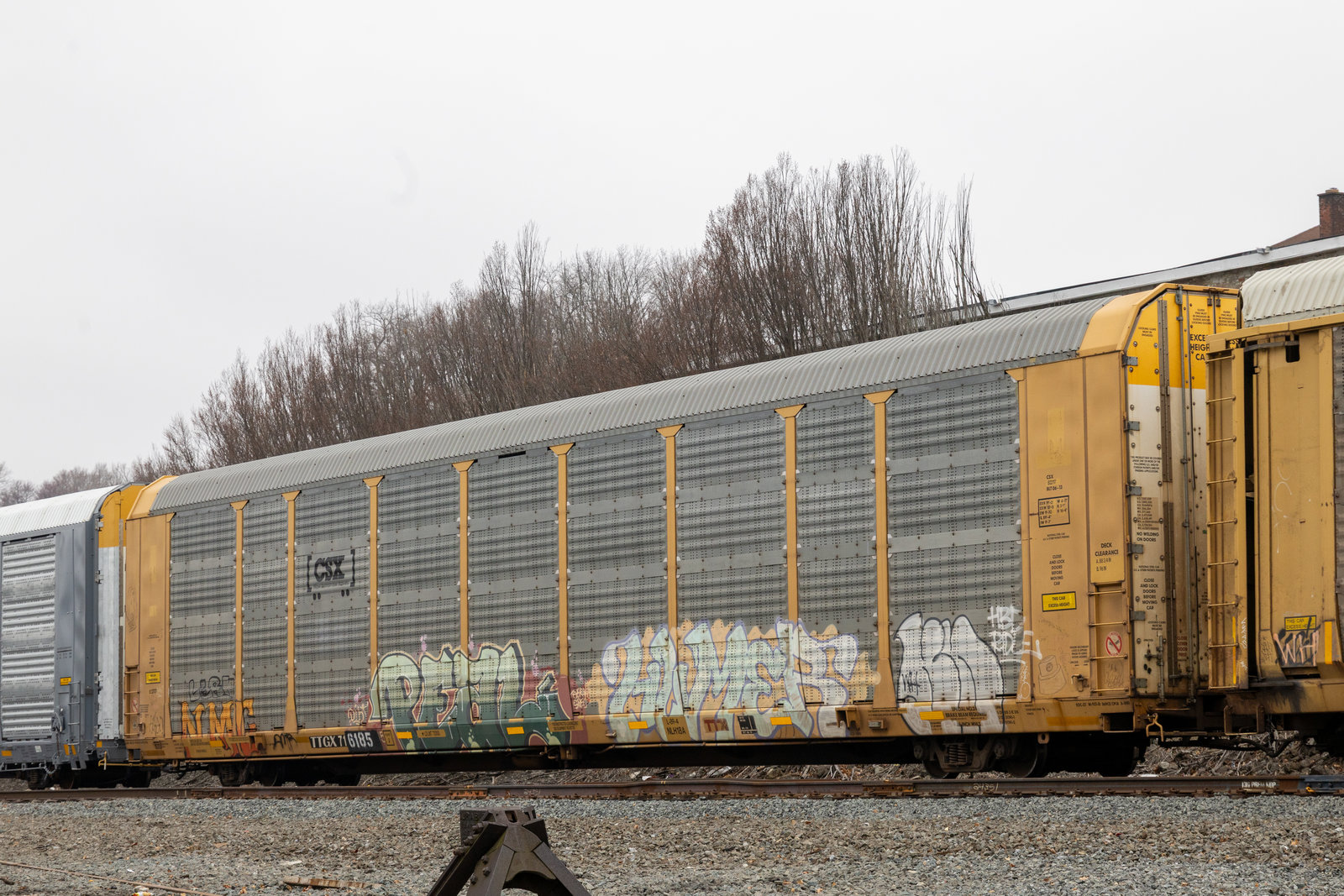 TTGX 716185