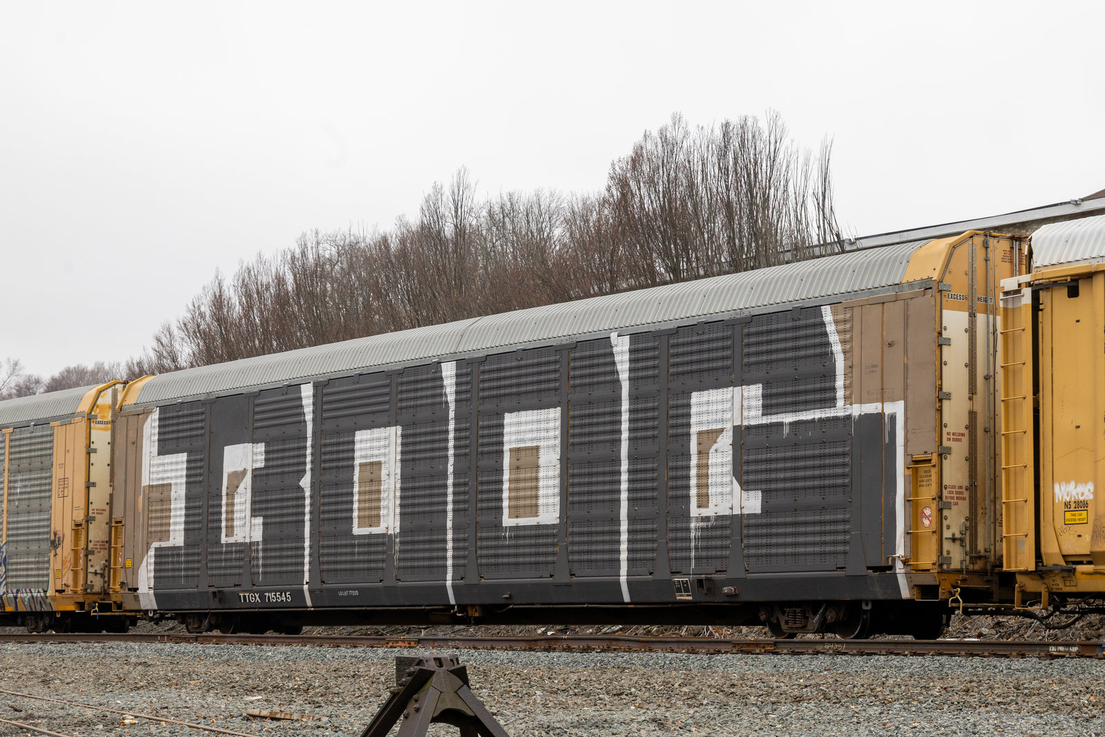 TTGX 715545