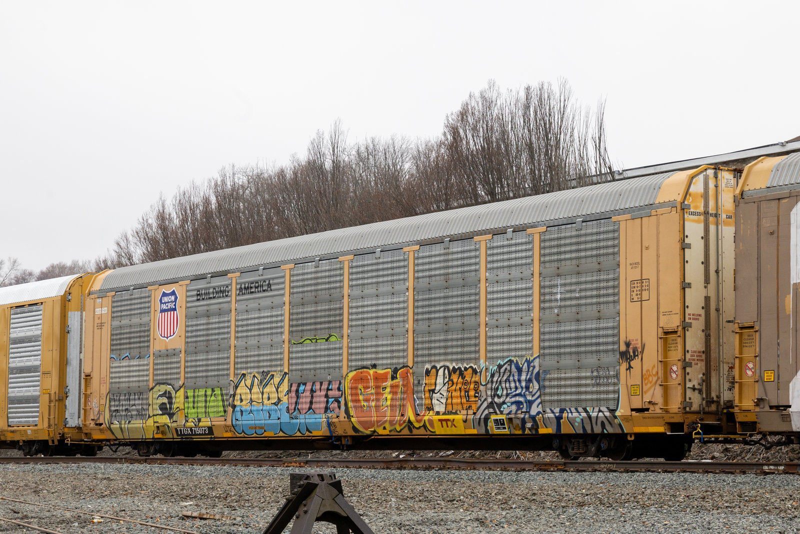 TTGX 715073
