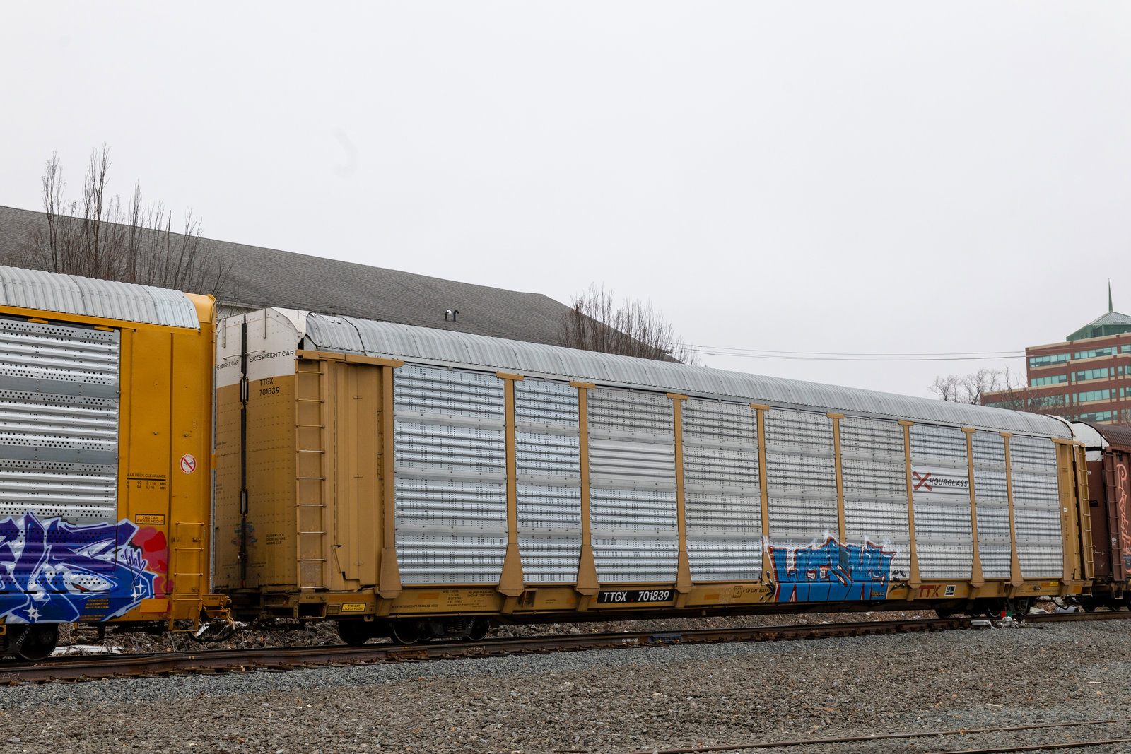 TTGX 701839
