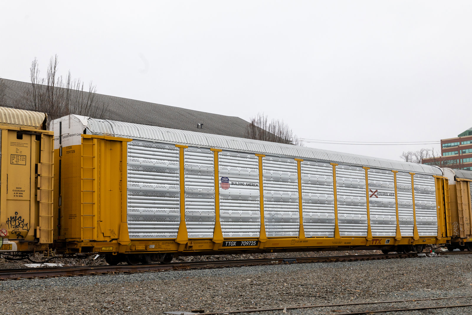 TTGX 709725