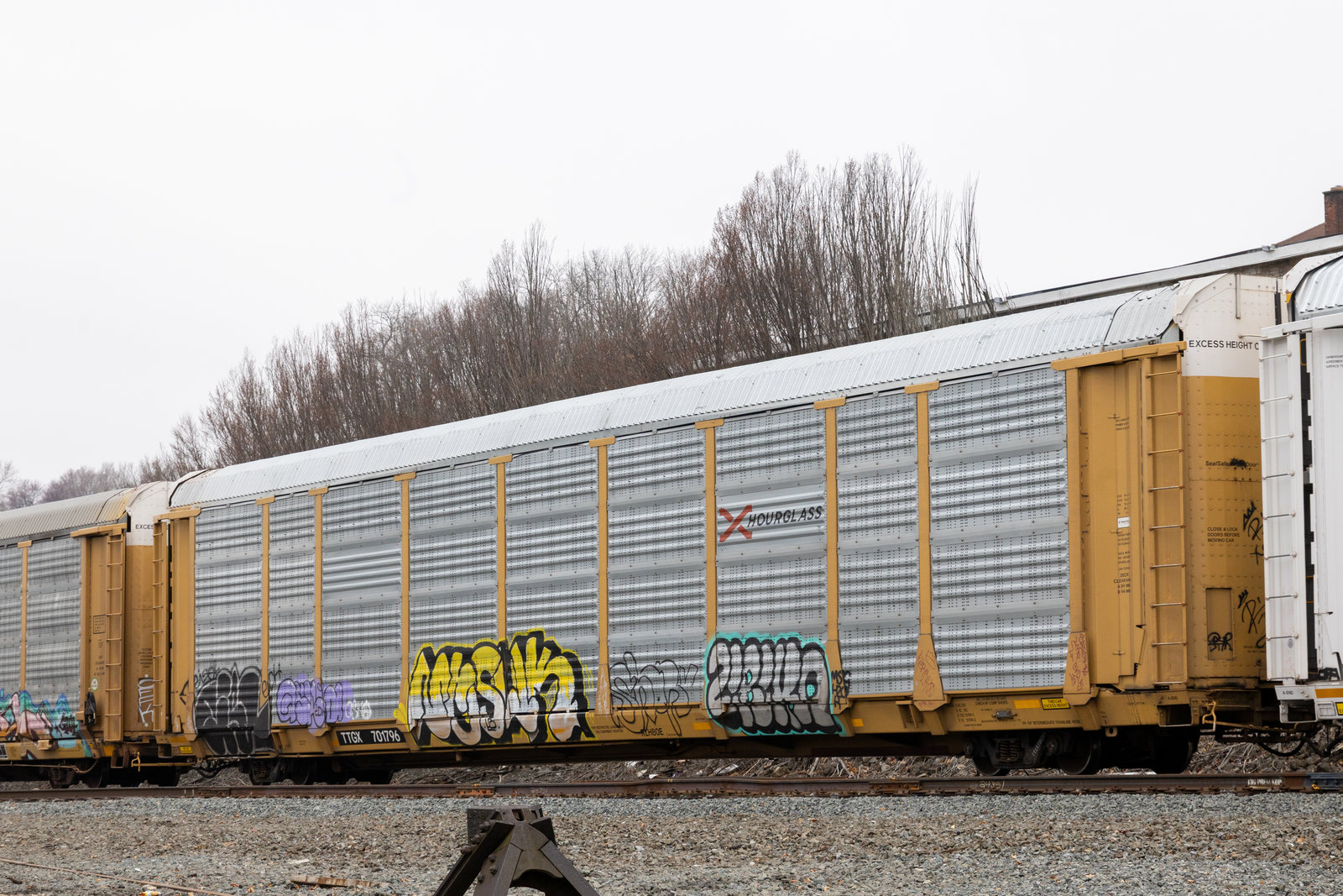 TTGX 701796
