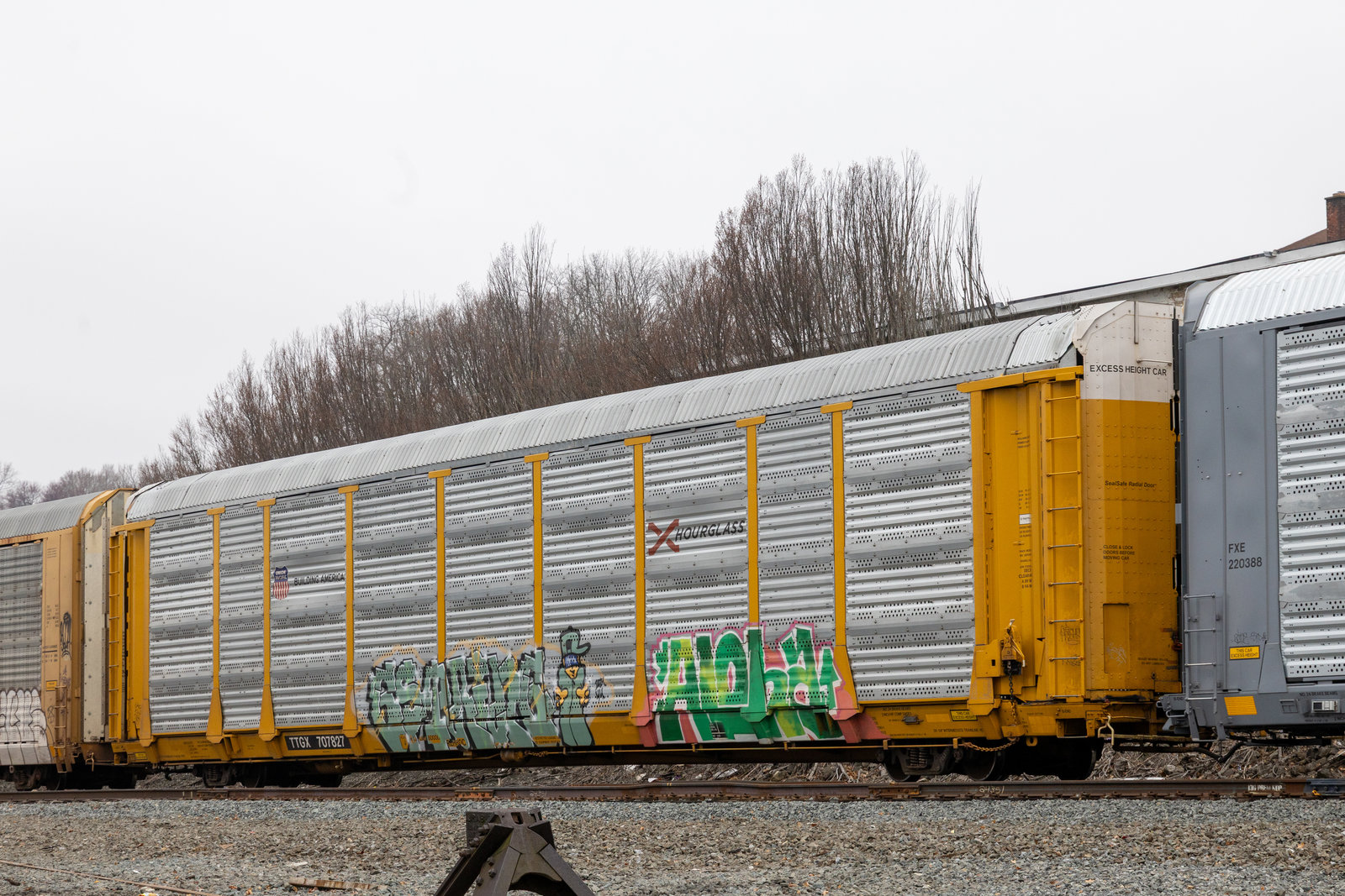 TTGX 707827