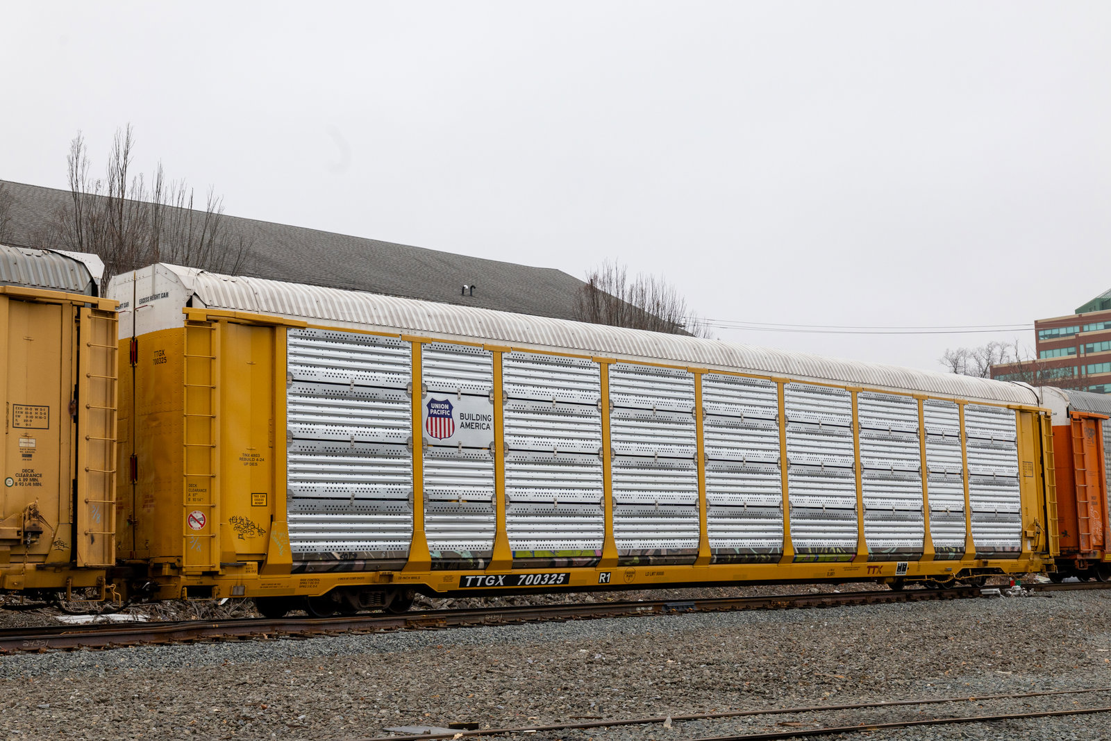 TTGX 700325