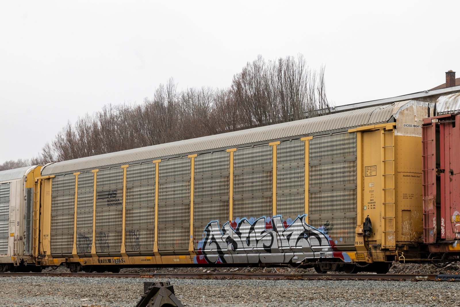 TTGX 853752