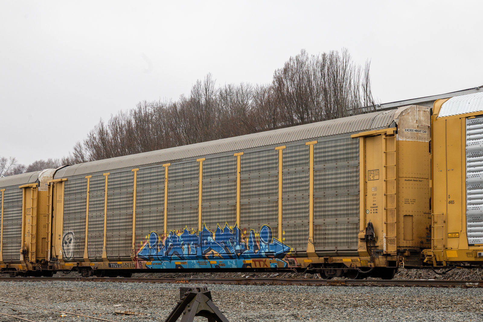 TTGX 852837