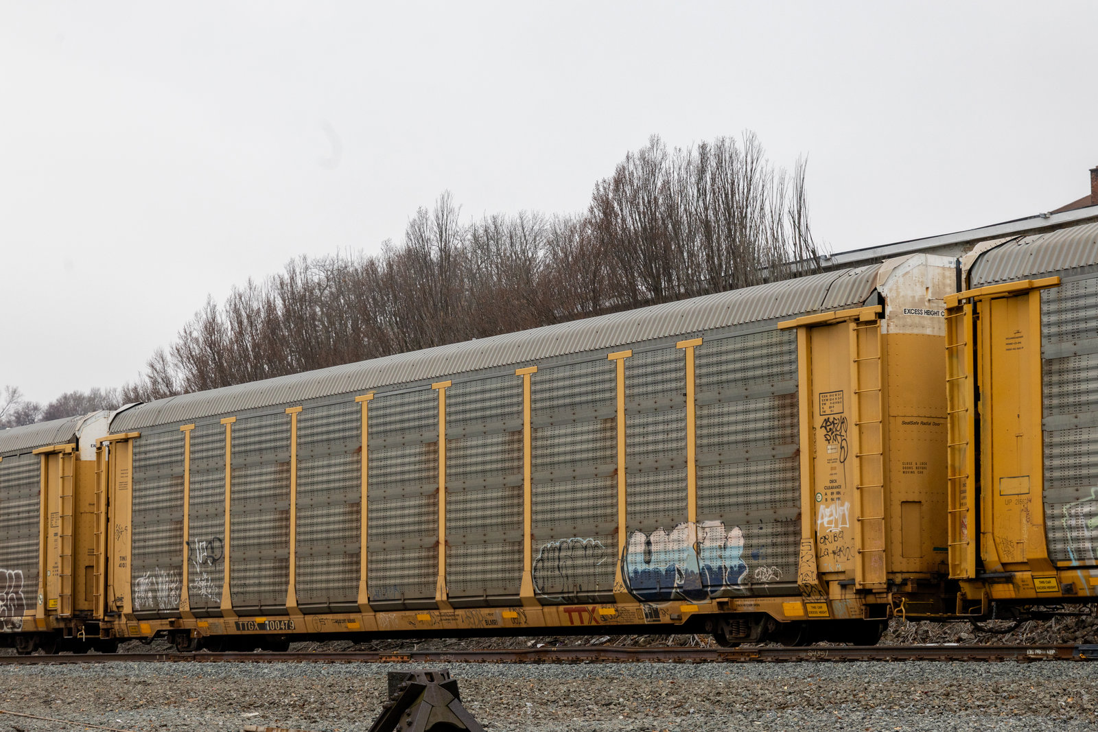 TTGX 700479
