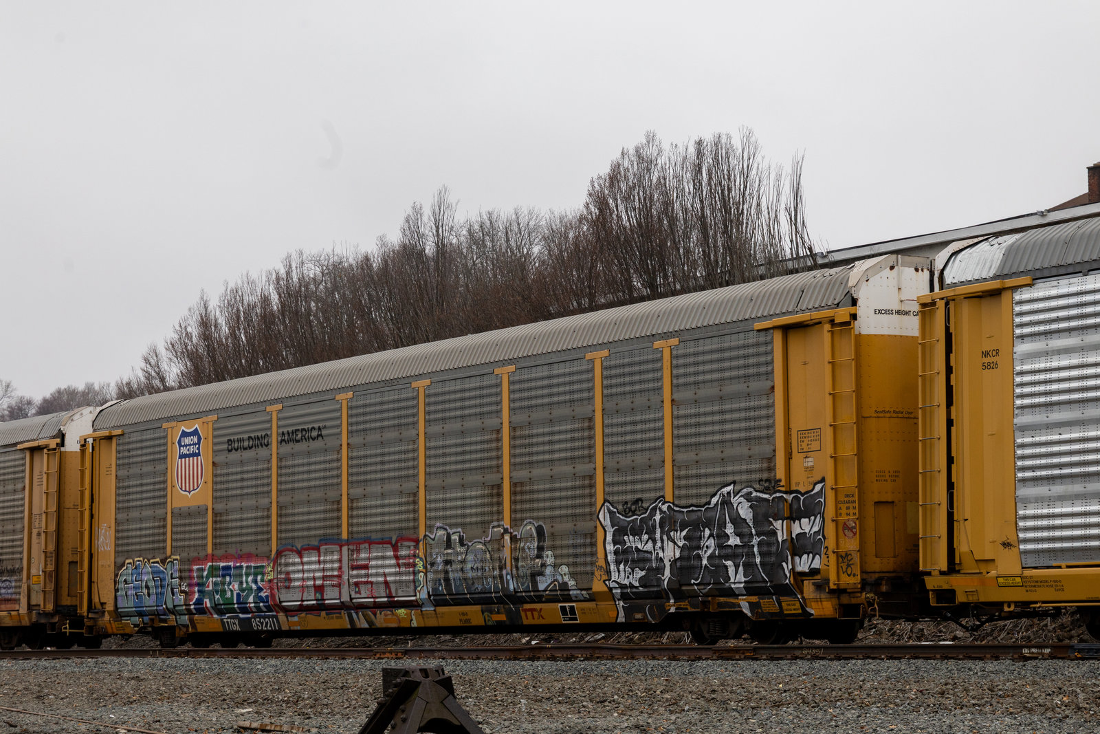 TTGX 852211