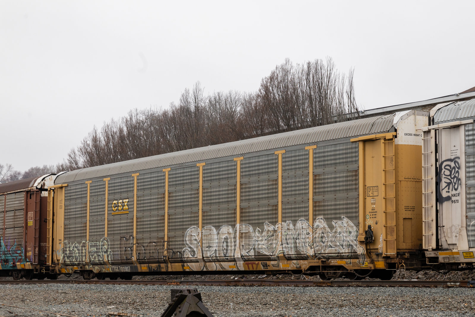 TTGX 700907