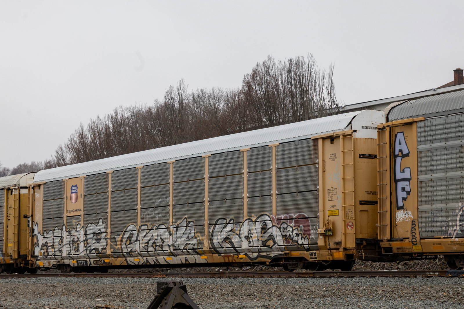 ETTX 701184