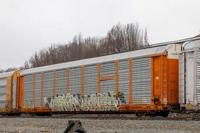BNSF 301175
