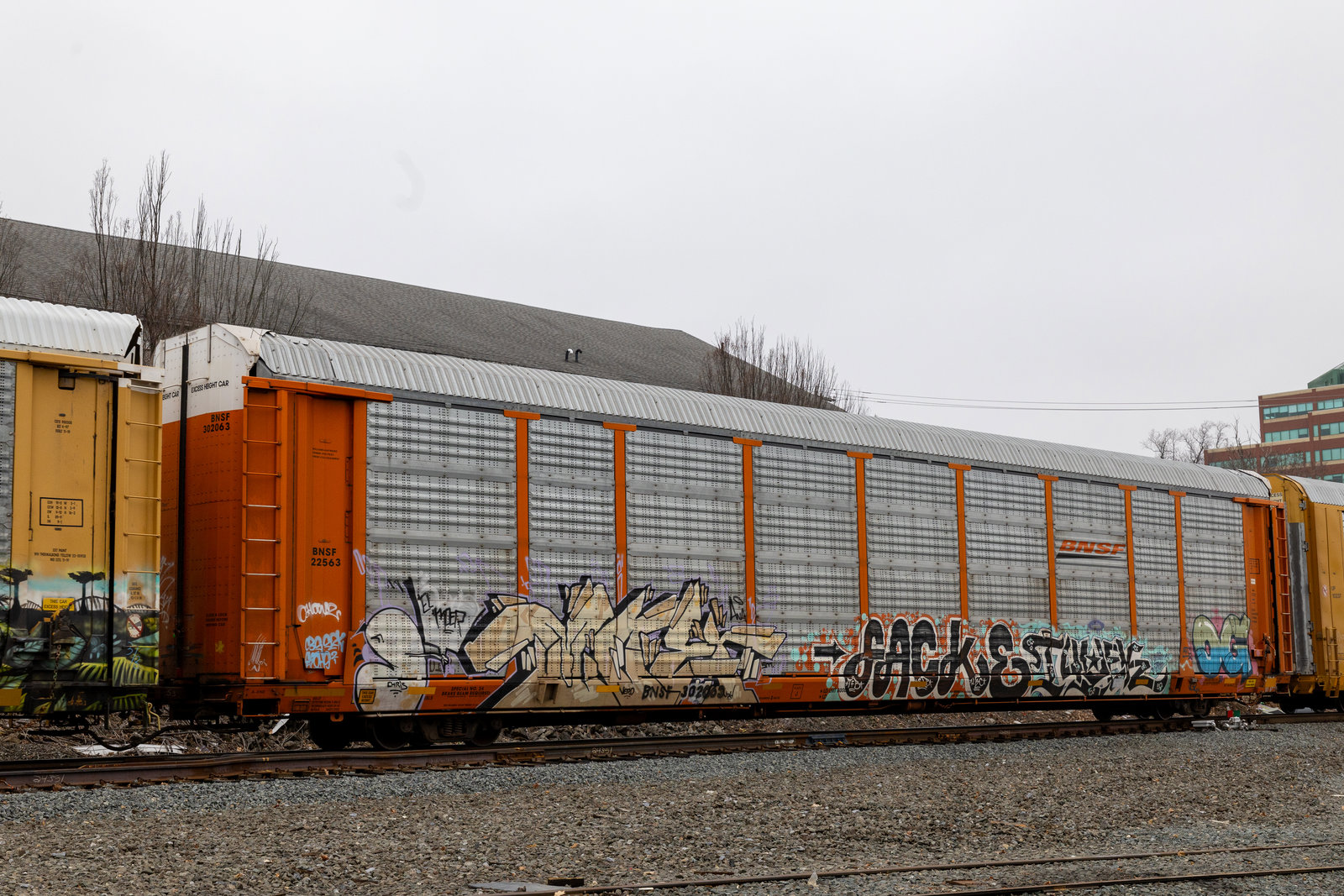 BNSF 302063