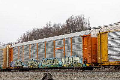 BNSF 301296