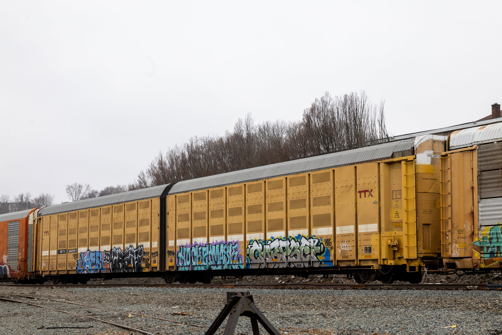 BTTX 880268