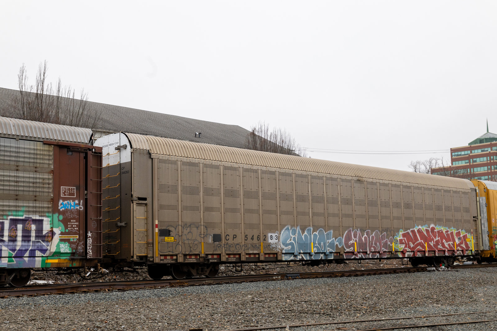 CP 546263