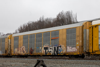 CTTX 695411