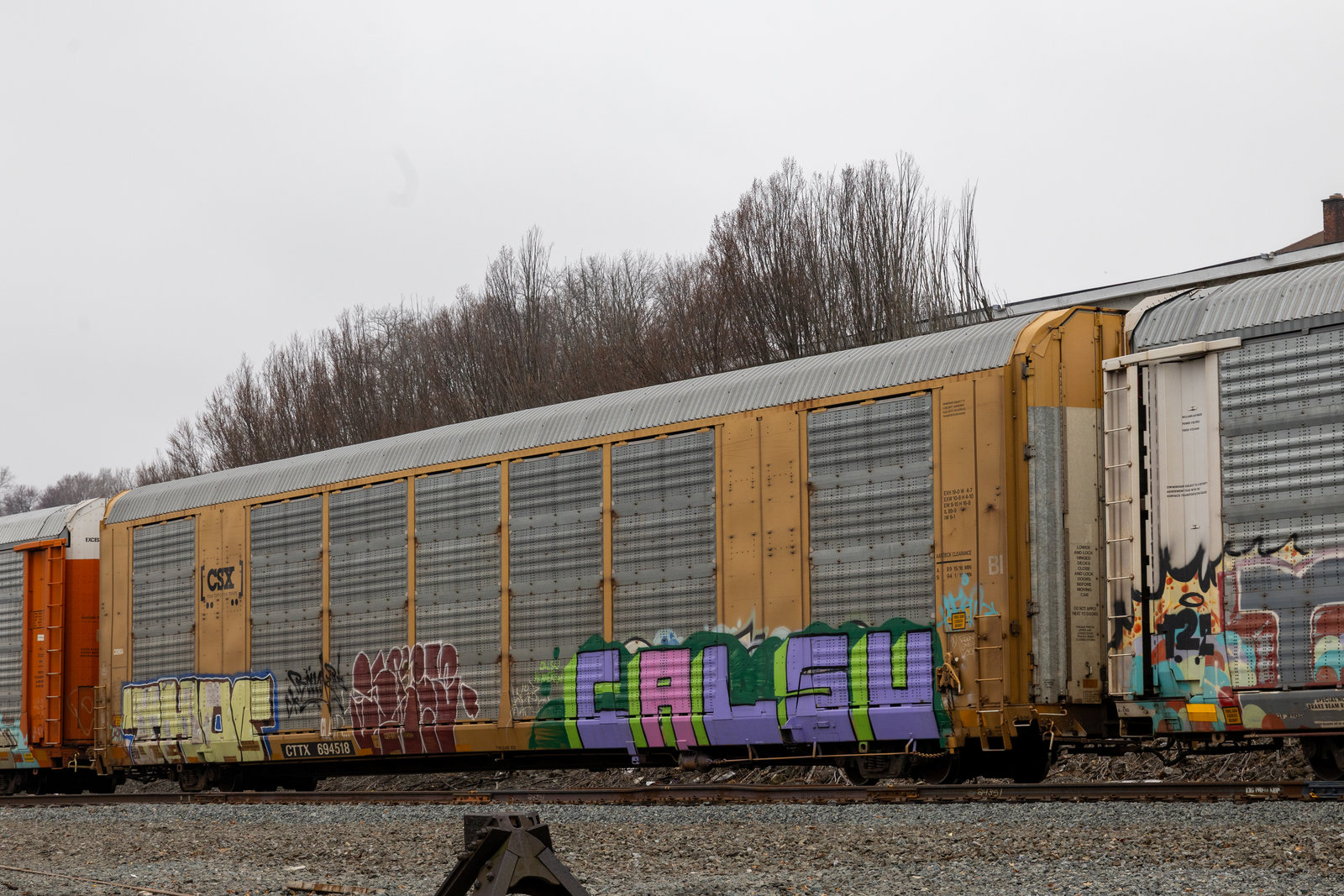 CTTX 694518