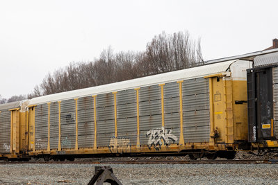 NS 171029