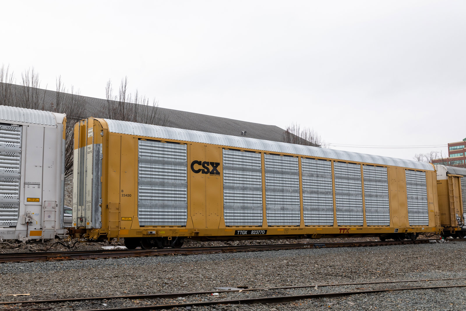 TTGX 823770