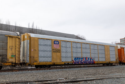 TTGX 822187