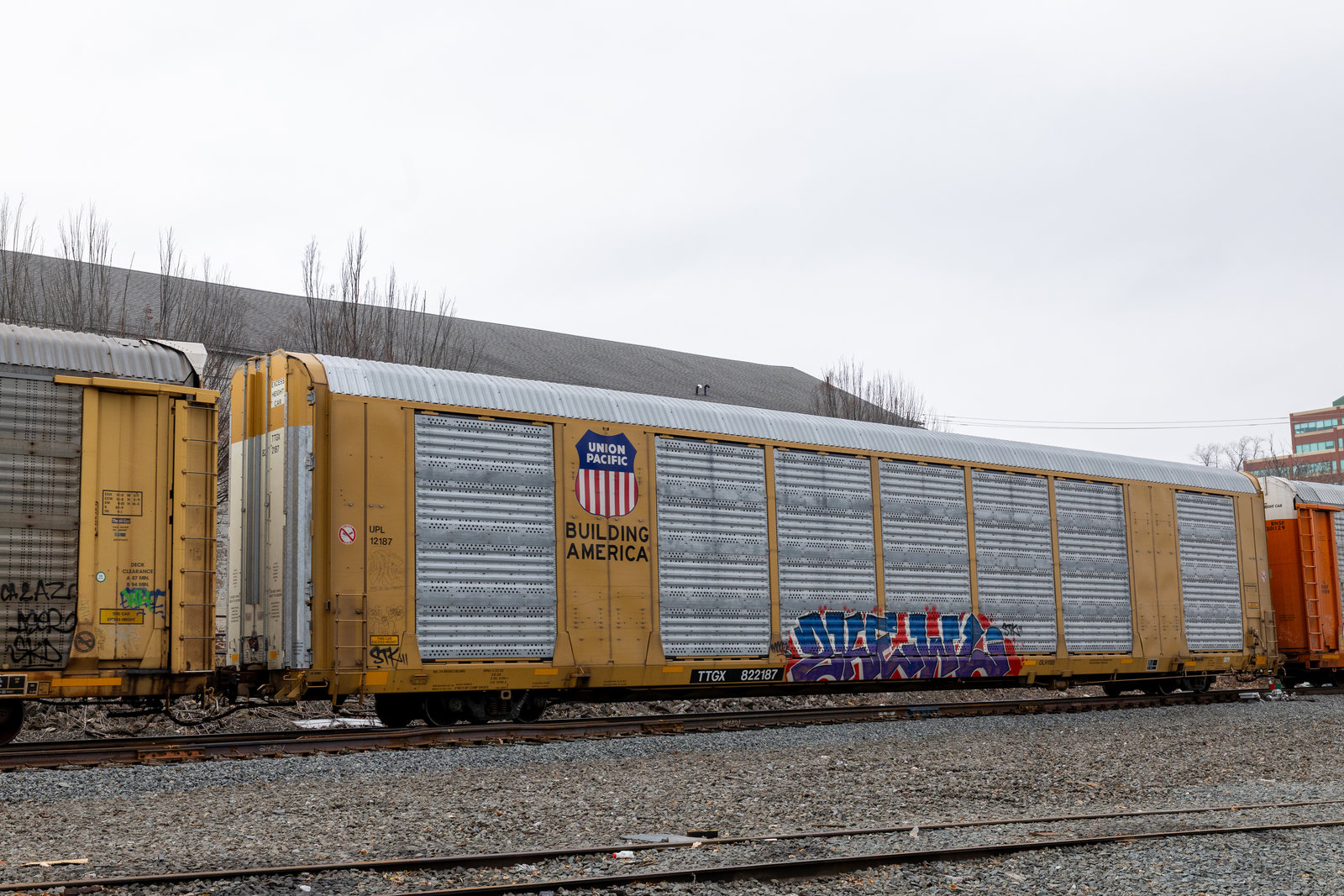 TTGX 822187