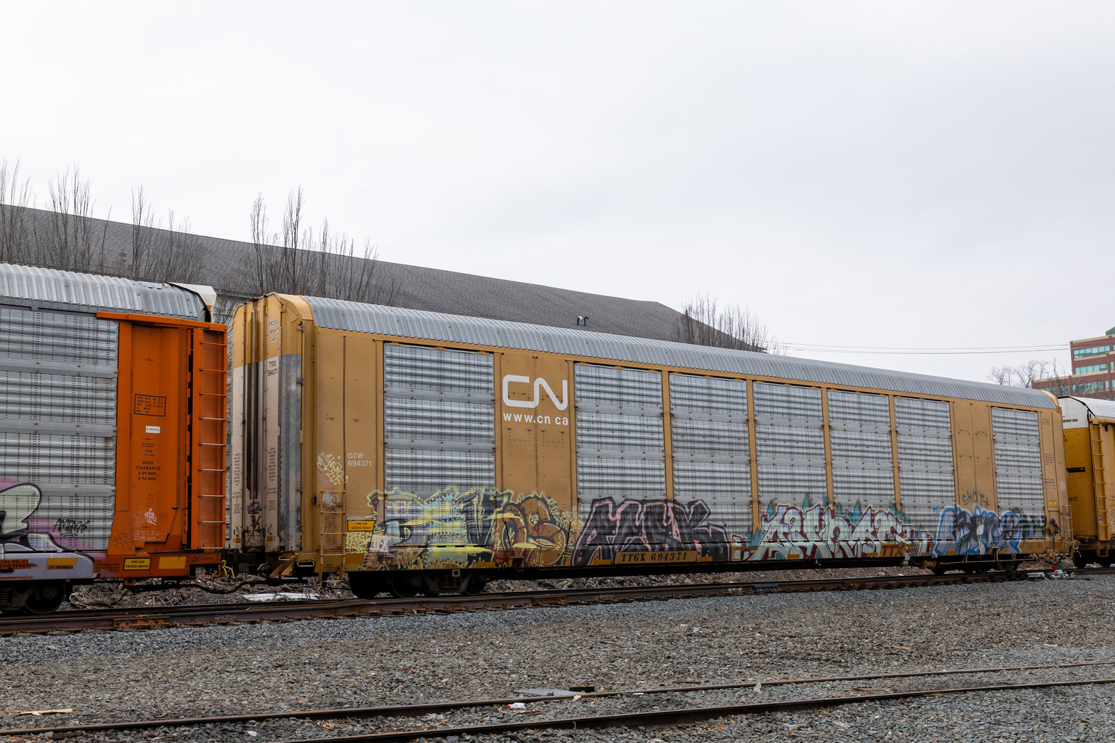 TTGX 694371