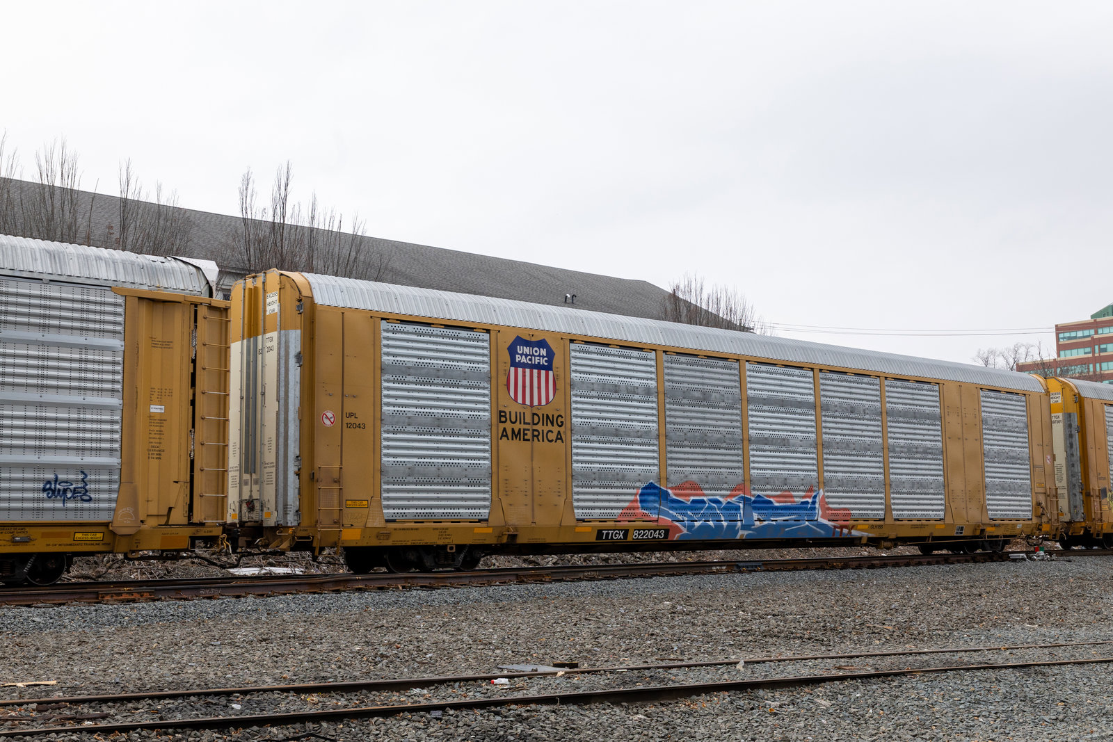 TTGX 822043