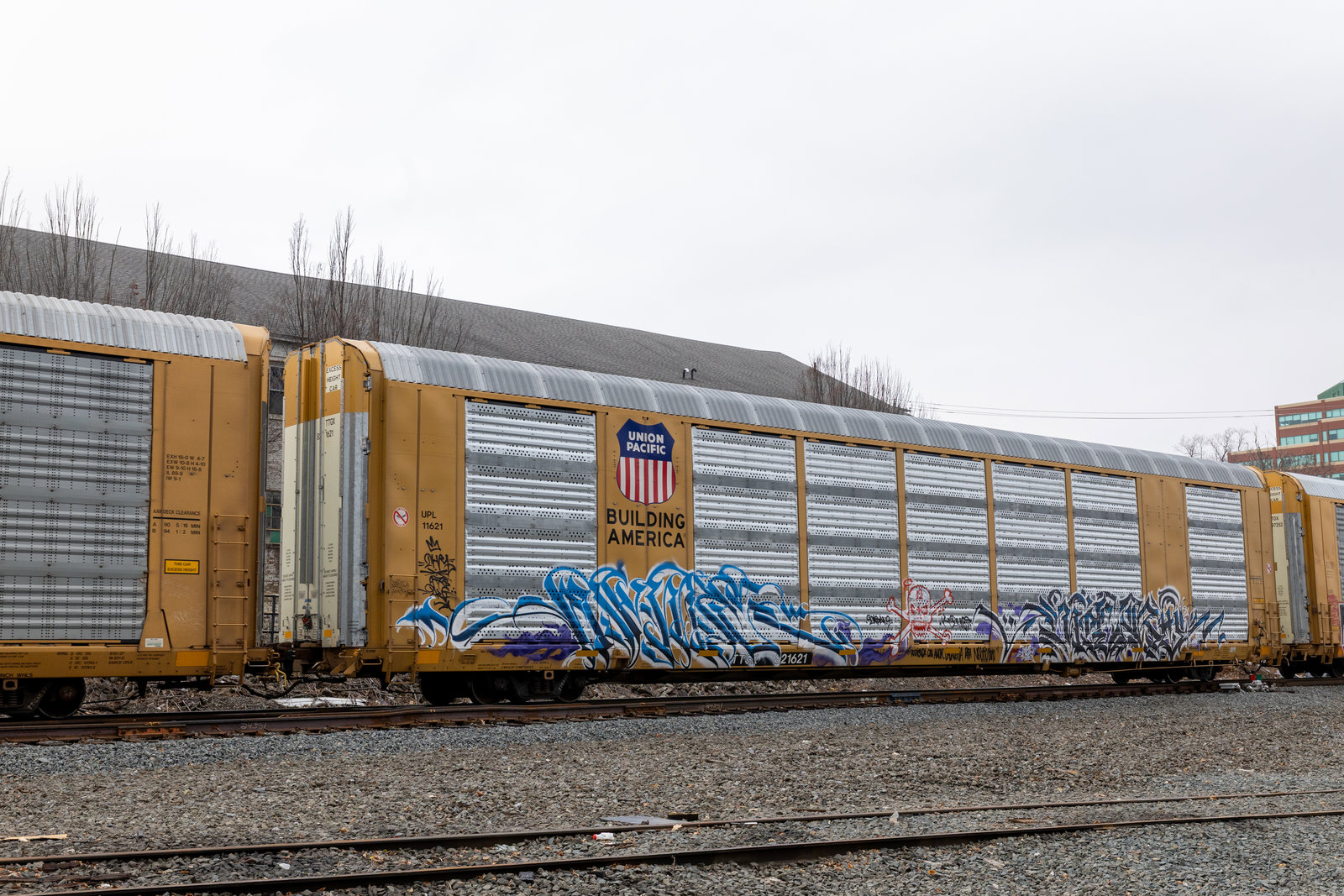 TTGX 821621