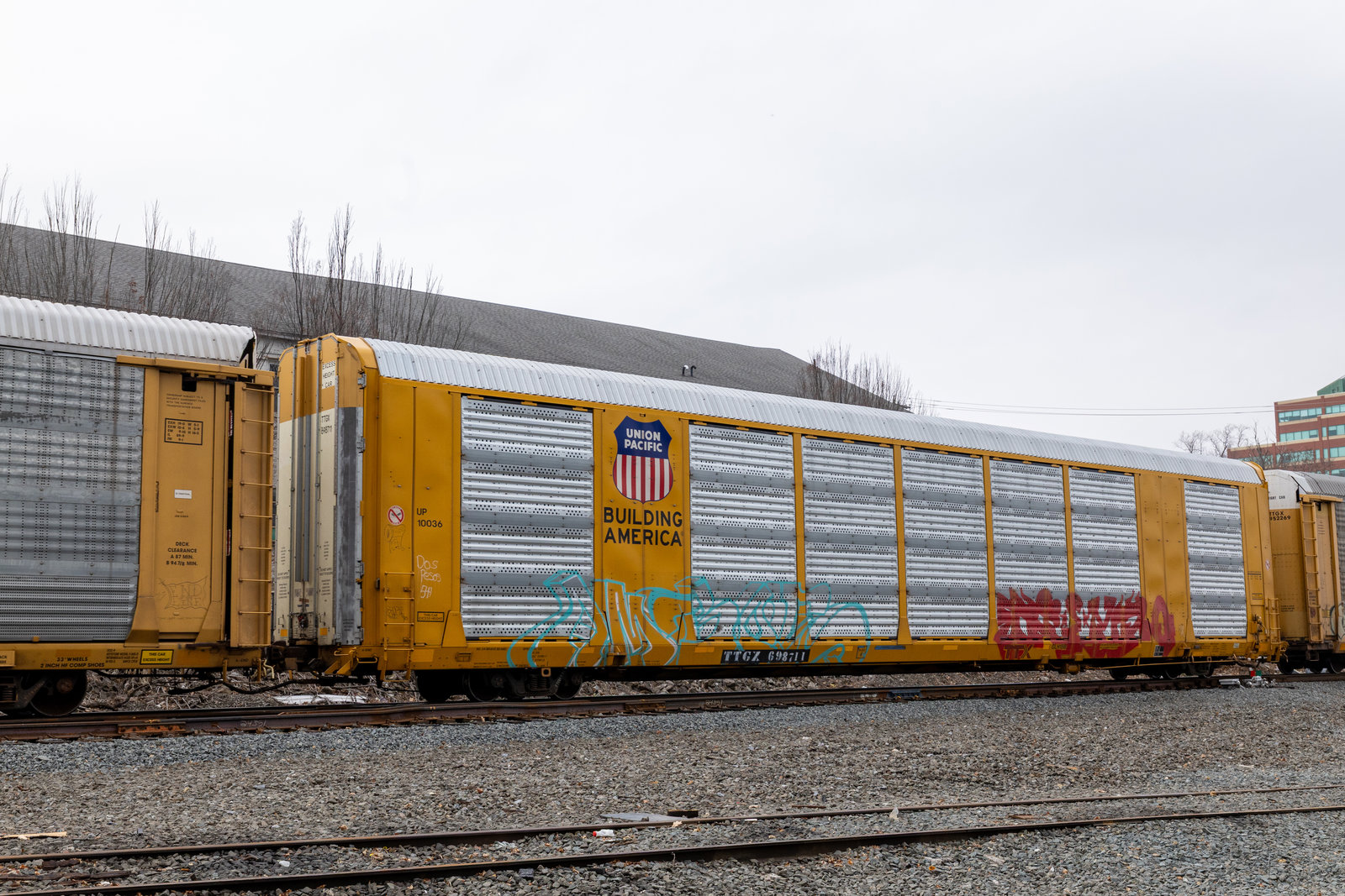 TTGX 698711