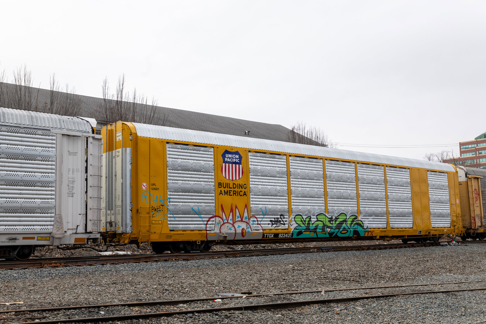 TTGX 823431