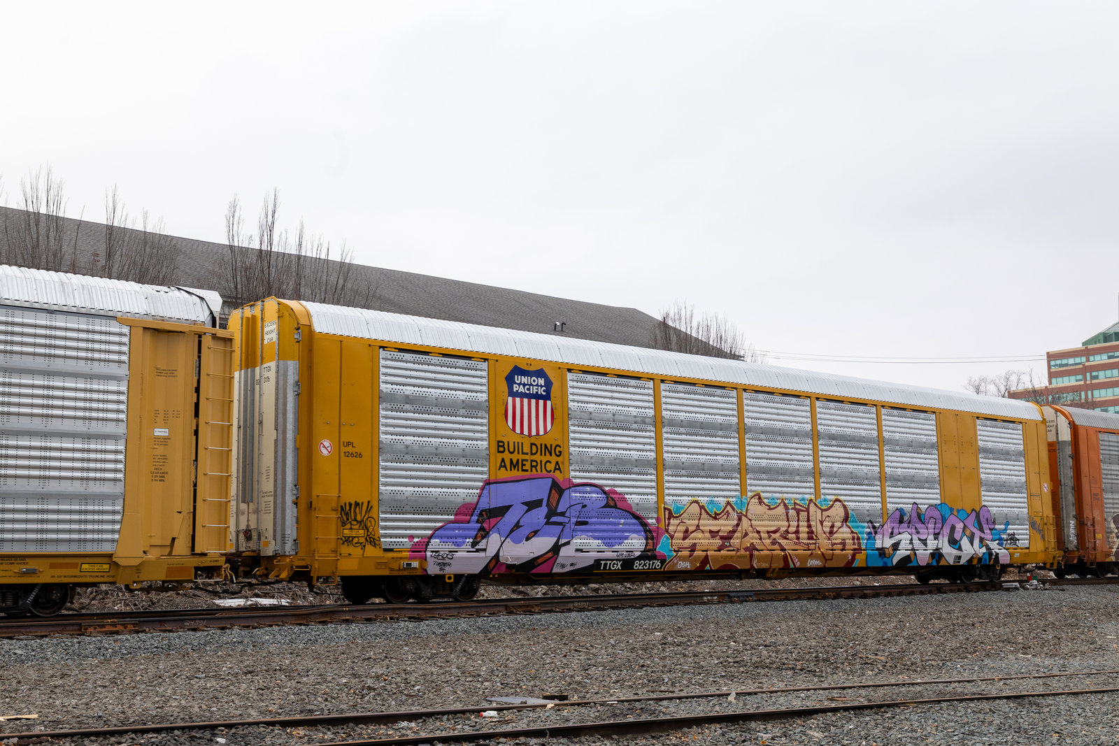 TTGX 823176