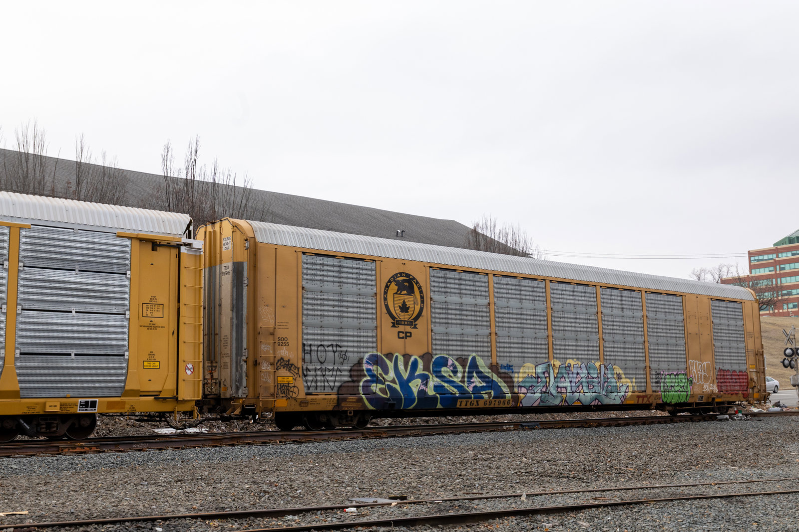 TTGX 697966