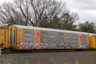 TTGX 696099