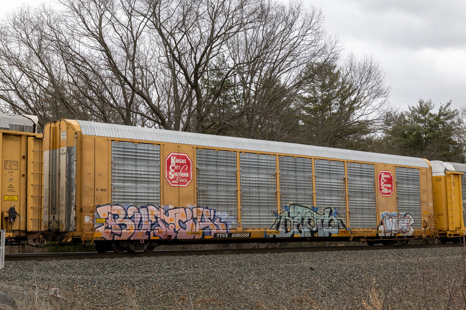 TTGX 696099
