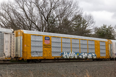 TTGX 699148