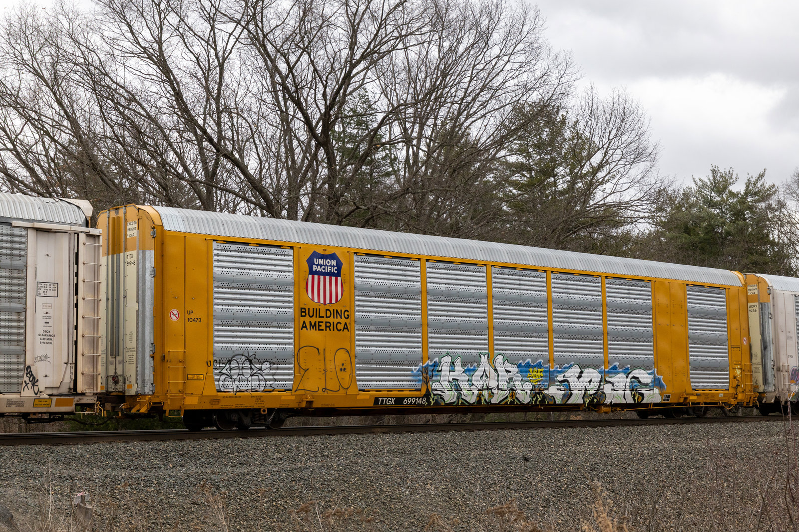TTGX 699148