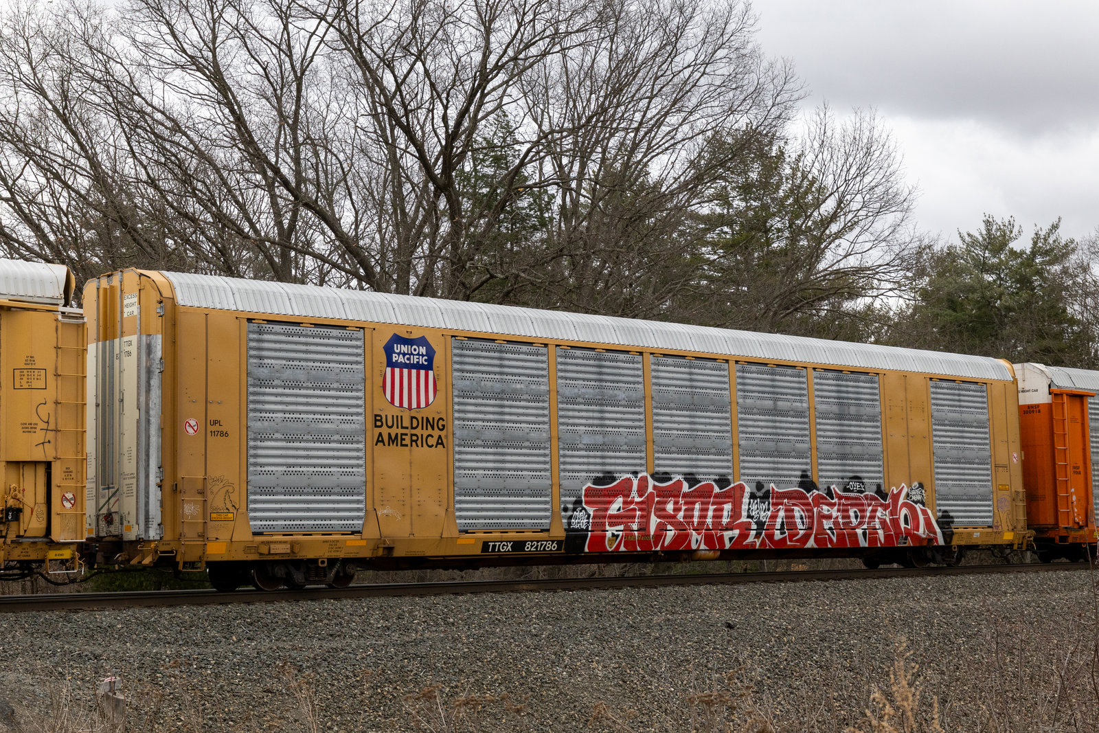 TTGX 821786