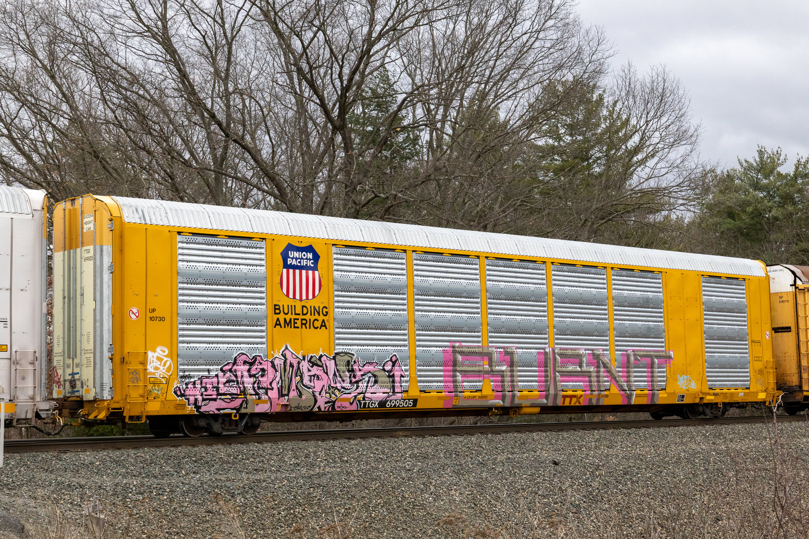 TTGX 699505