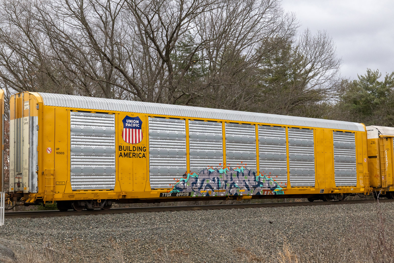 TTGX 699178