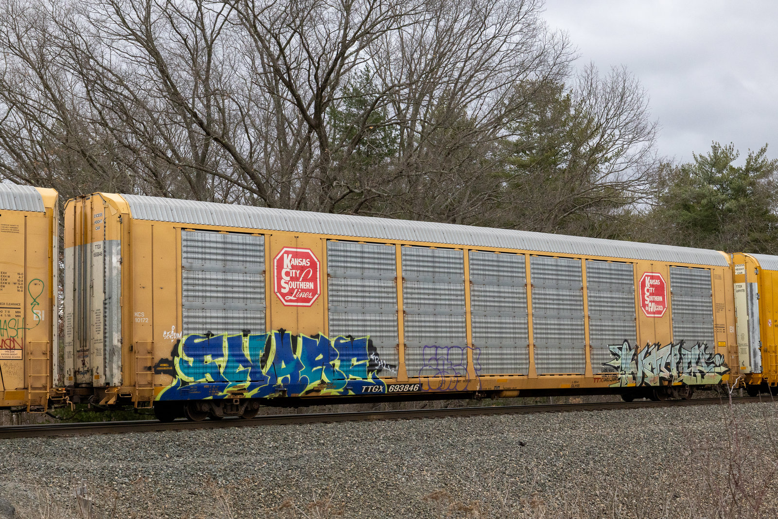 TTGX 693846