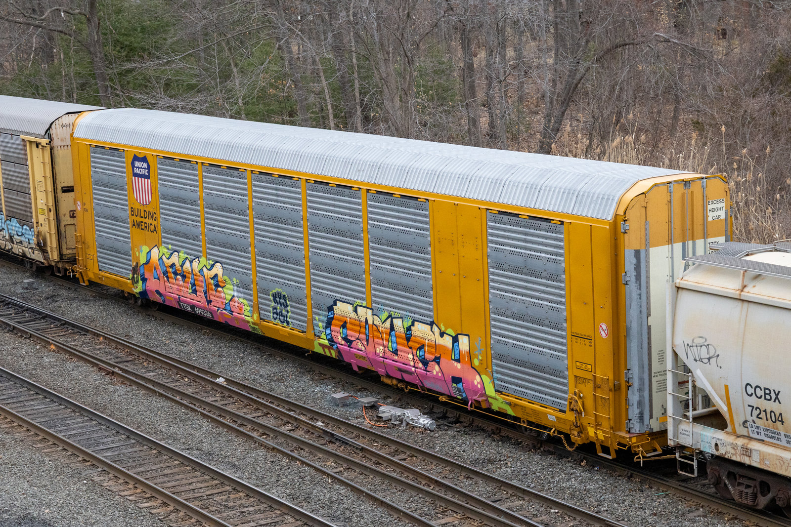 TTGX 699336