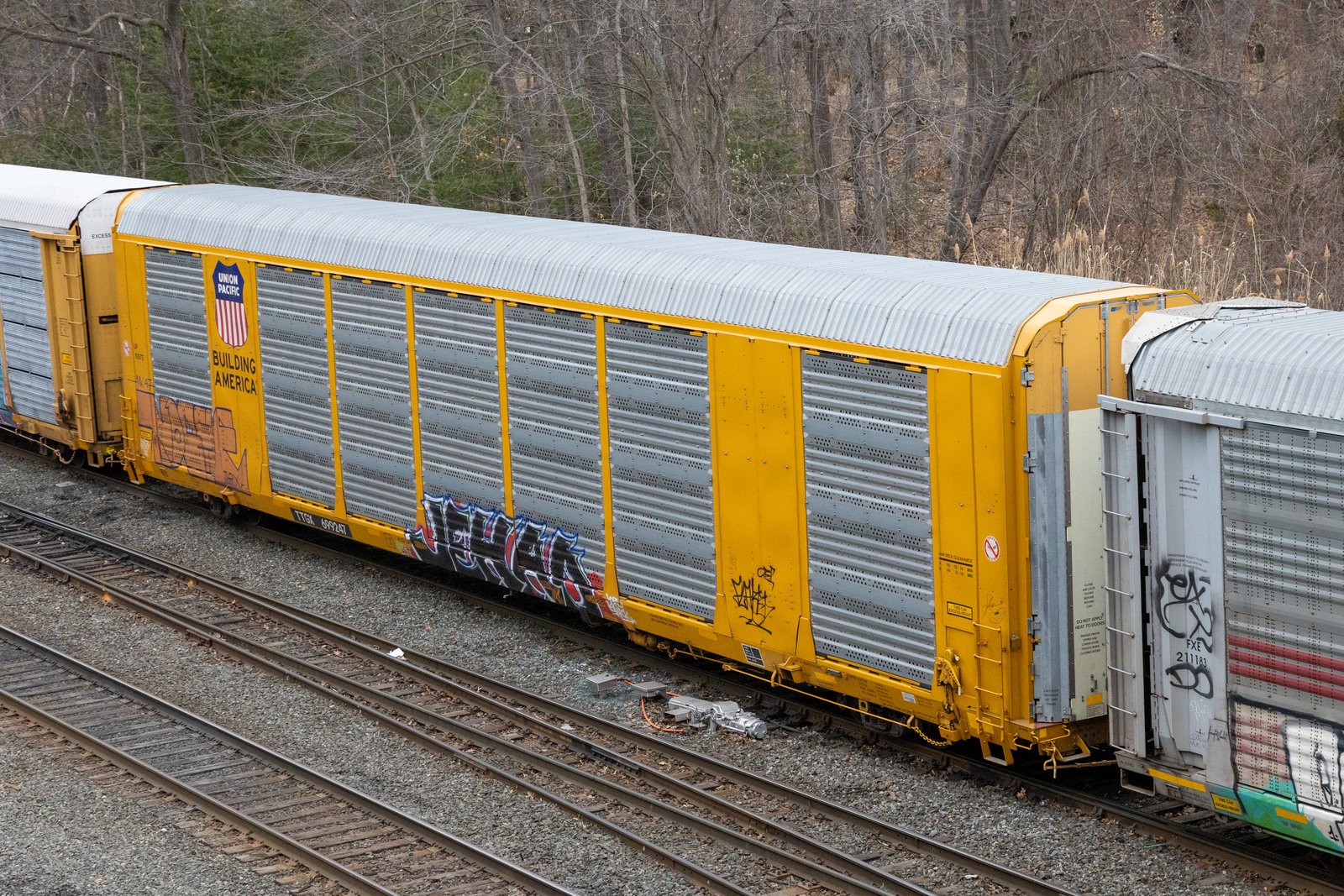 TTGX 699247