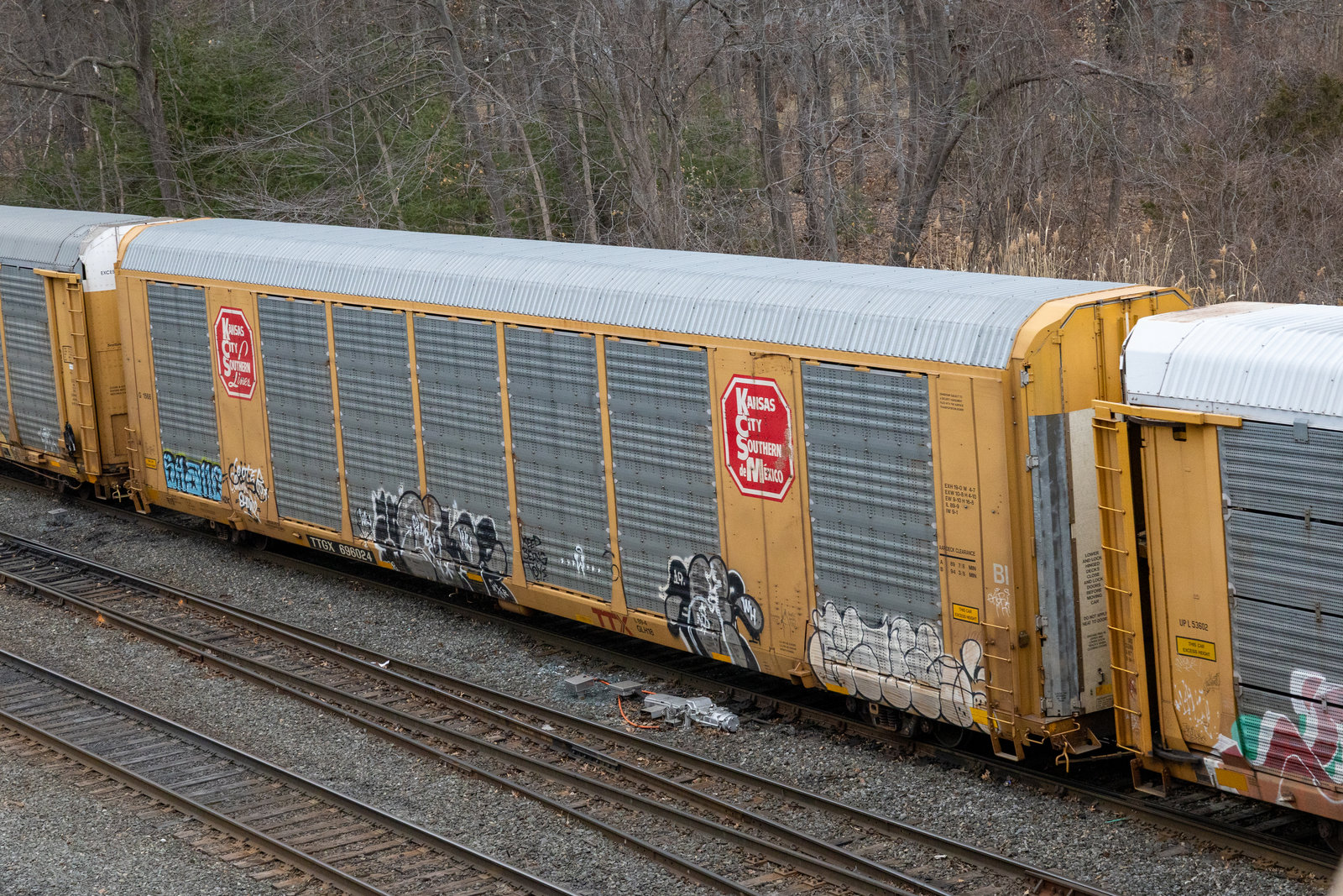 TTGX 696024