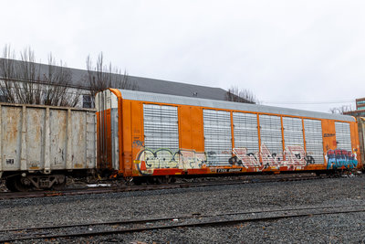 TTGX 694682