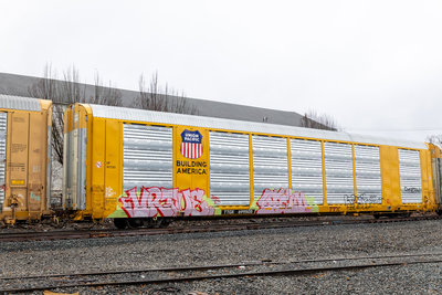TTGX 699505