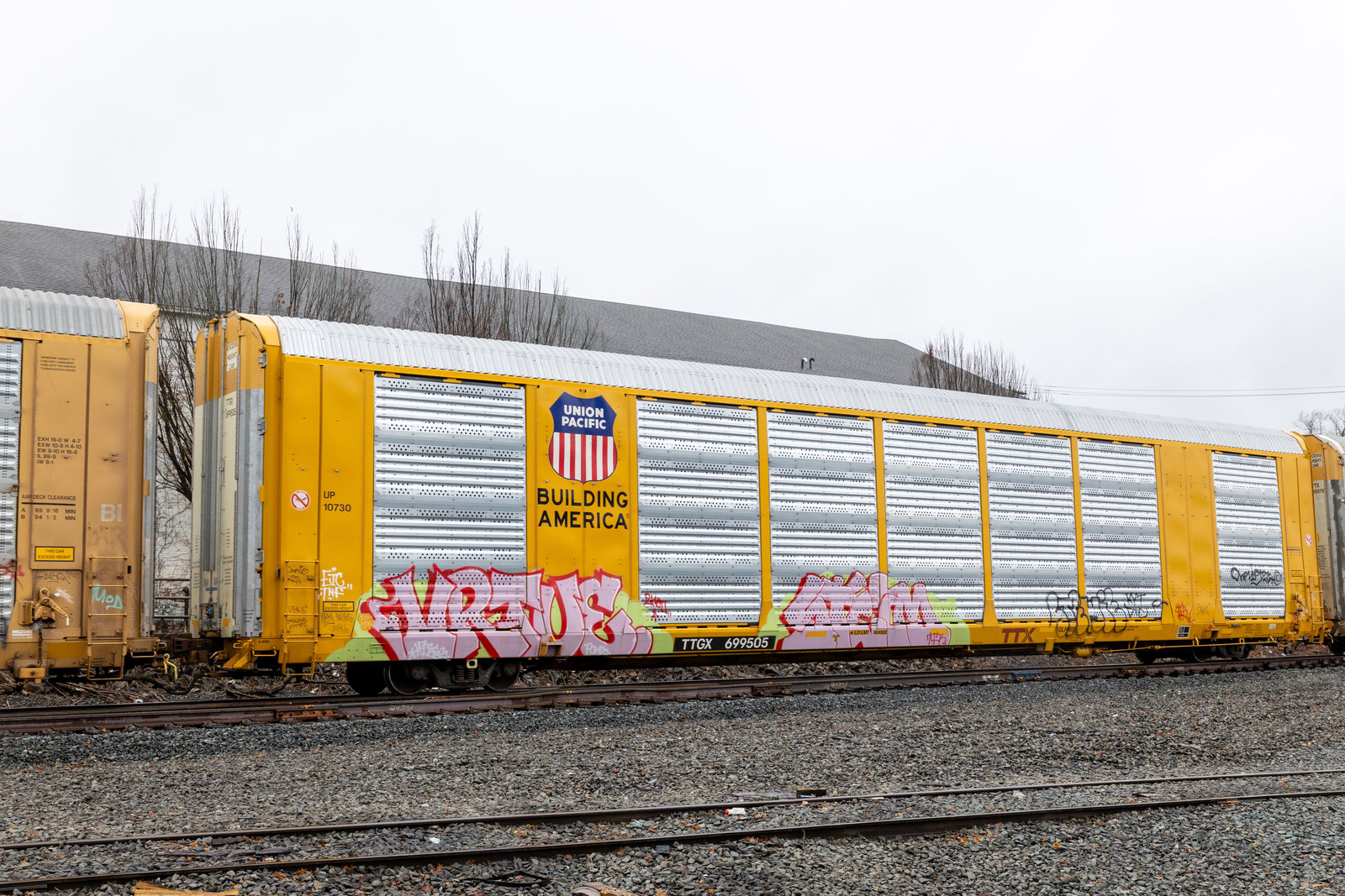 TTGX 699505